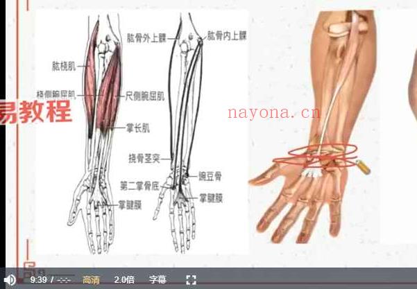 刘氏徒手特效筋膜松解网课视频56集 百度云下载！(徒手特效筋膜松解)