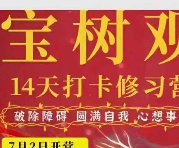 林毅宝树观奇门存思14天打卡修习营视频10集 百度云下载！