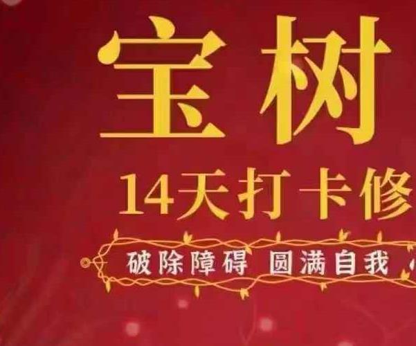 林毅宝树观奇门存思14天打卡修习营视频10集 百度云下载！