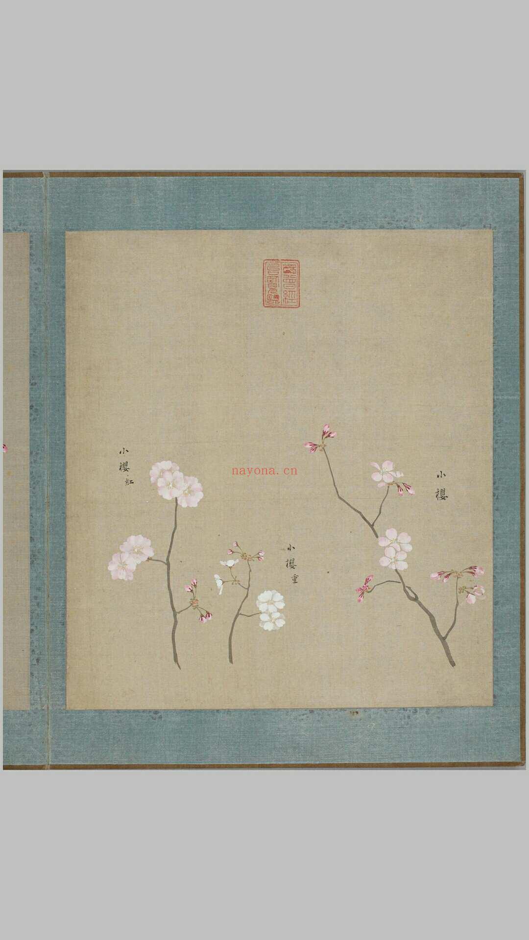 花谱.六册.樱井绚绘.1803-1804年