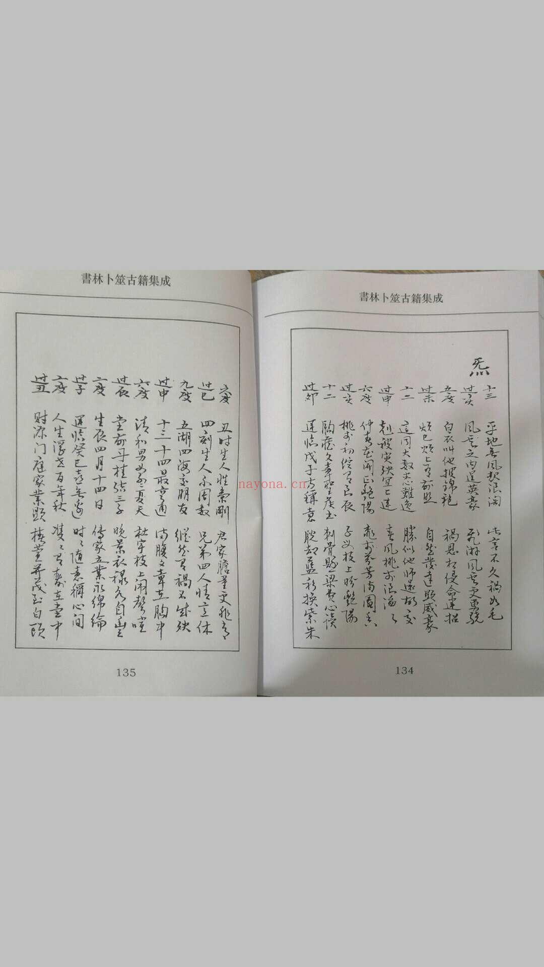 蠢子数缠度 (蠢子数命法)