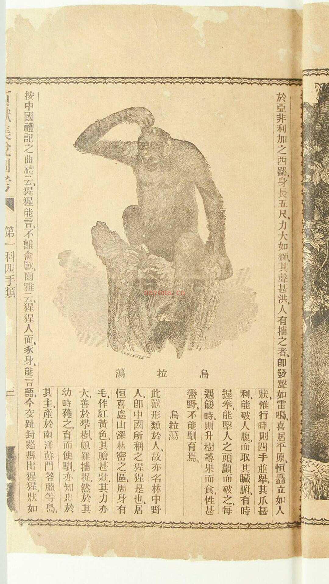 百兽集说图考