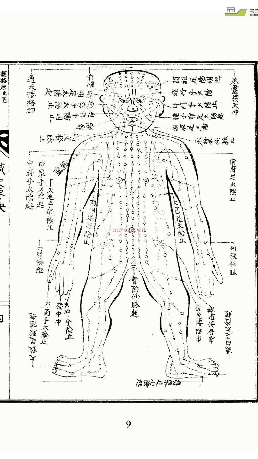 针灸要诀 (针灸要诀与按摩十法pdf下载)