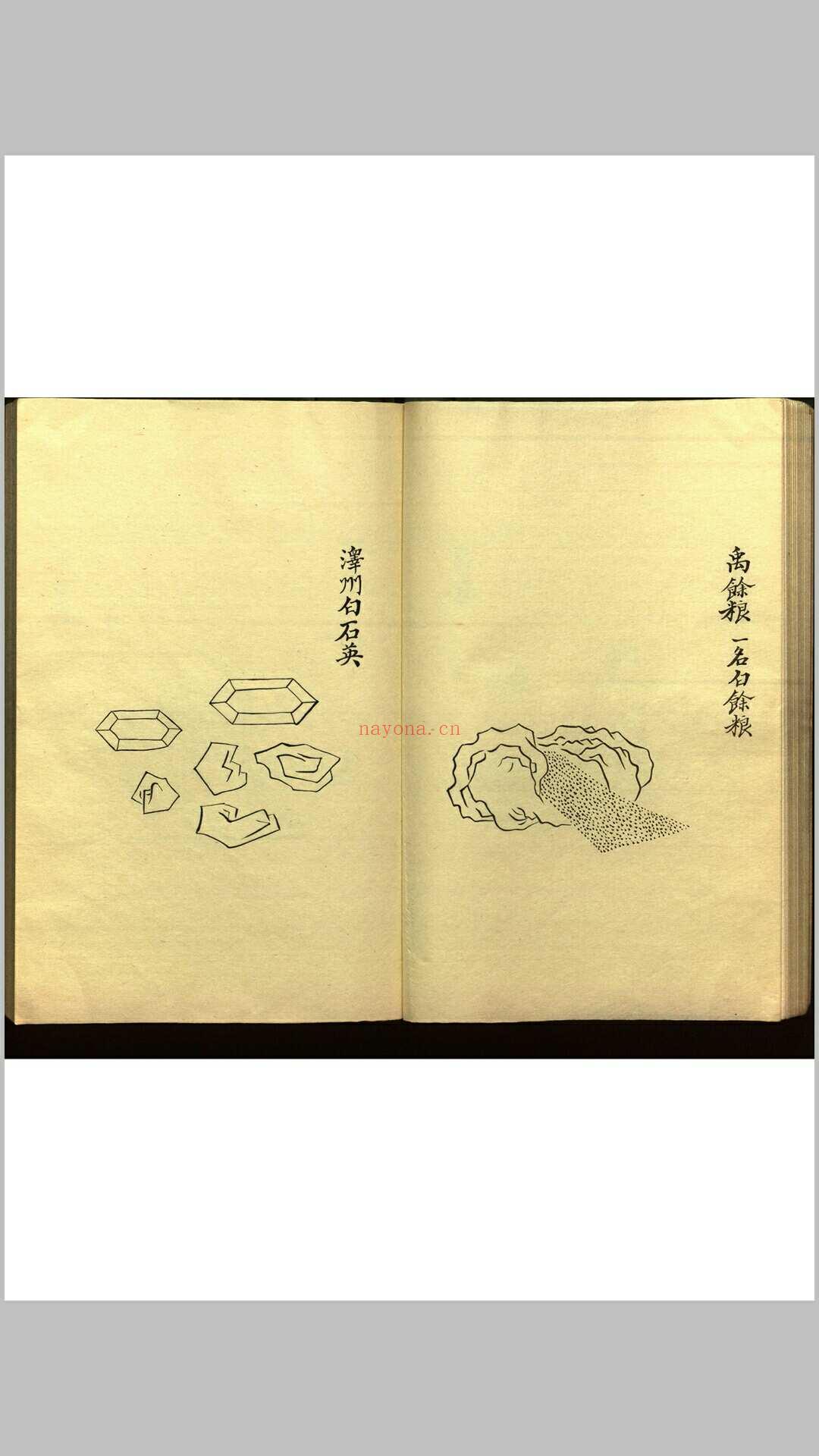 绍兴校定经史证类备急本草画(据卷二至五目录题) 五卷 (宋) 高绍功 等校定 (绍兴校定经史证类备急本草)