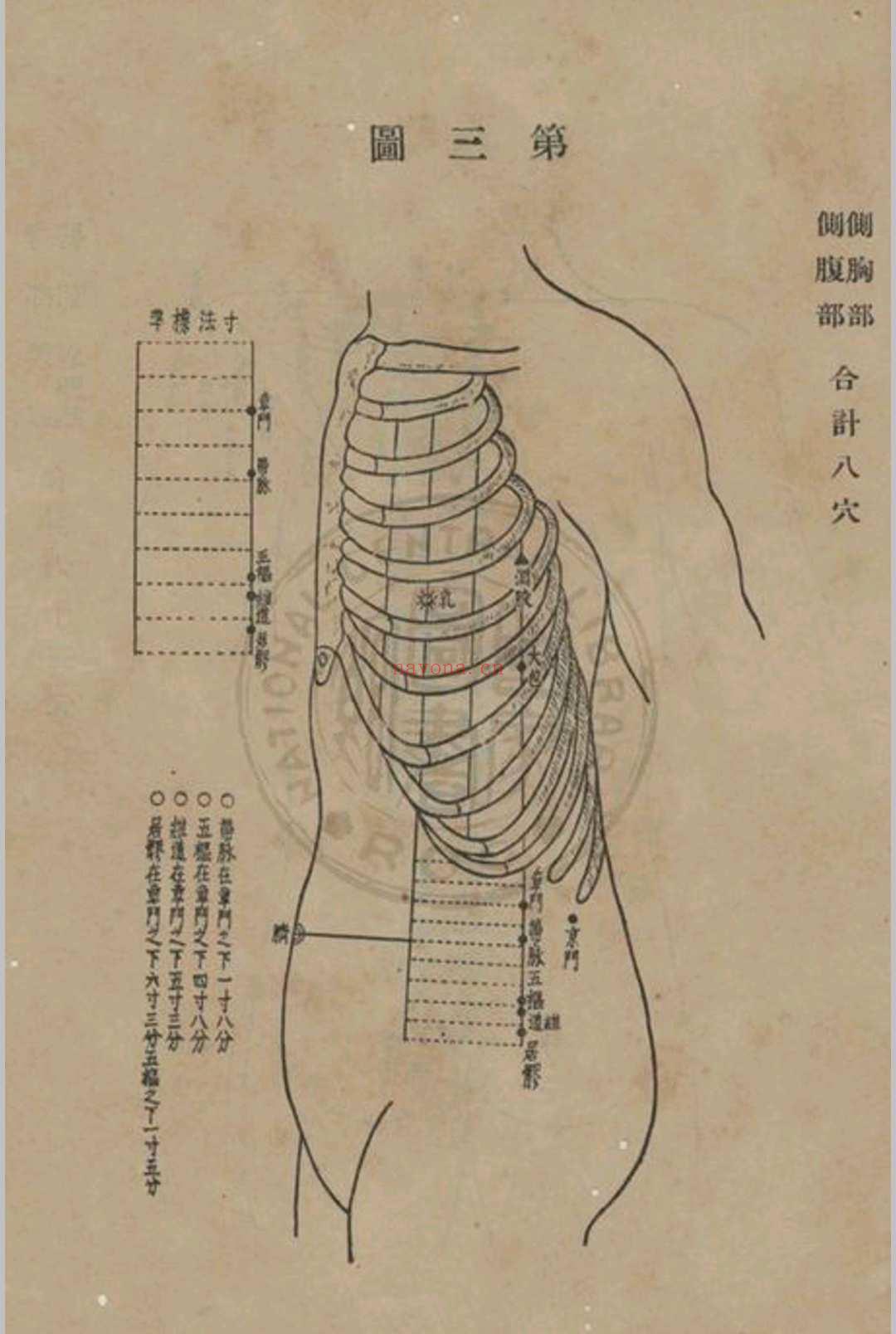 高等鍼灸学讲义张俊义译述 (针灸学中级讲义1961)