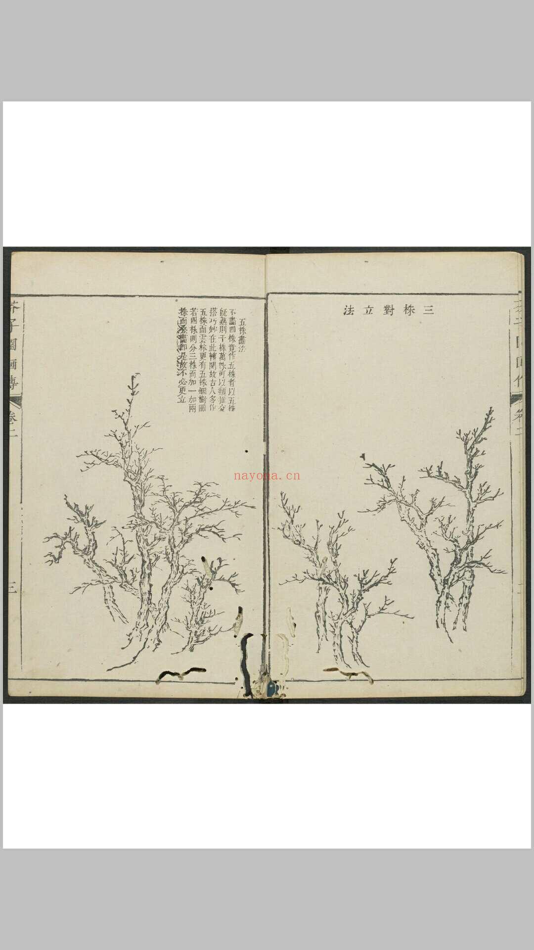 芥子园画传 初至四集, 附图章会纂一卷 王槩等辑摹  李渔辑 金陵芥子园焕记重刊套印本, 清嘉庆22年