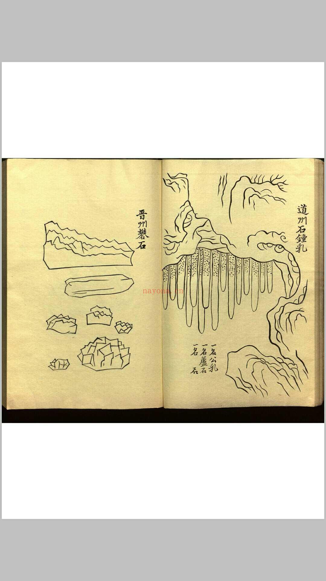 绍兴校定经史证类备急本草画(据卷二至五目录题) 五卷 (宋) 高绍功 等校定 (绍兴校定经史证类备急本草)