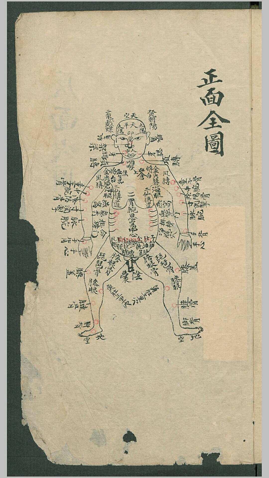 秘传跌打钹方 (秘传跌打钹方 百度网盘)