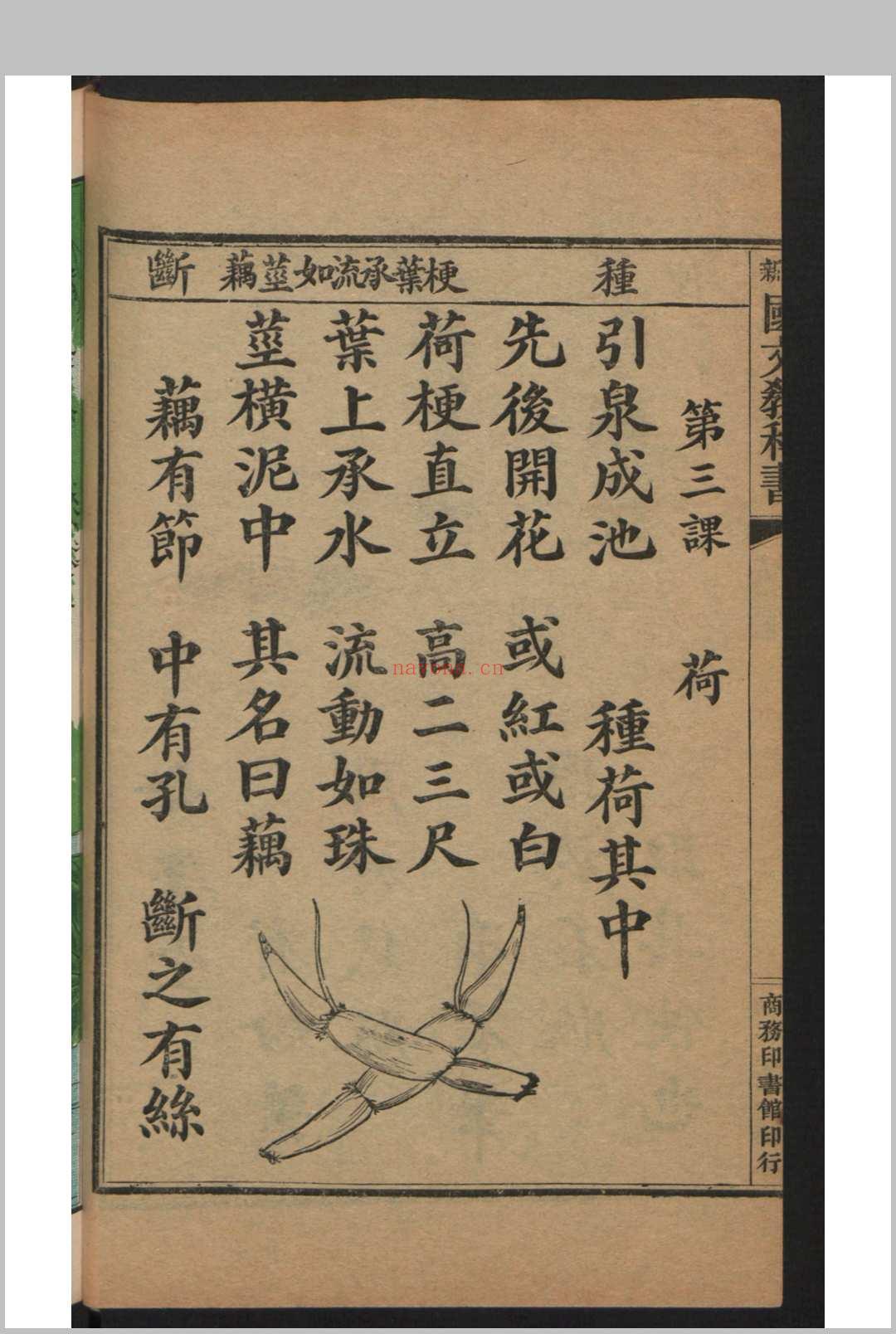 蒋维乔 庄俞 初等小学用最新国文教科书 , 1910