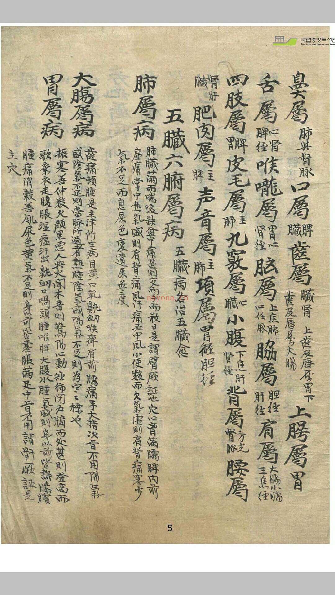 针灸法 (针灸法令纹视频)