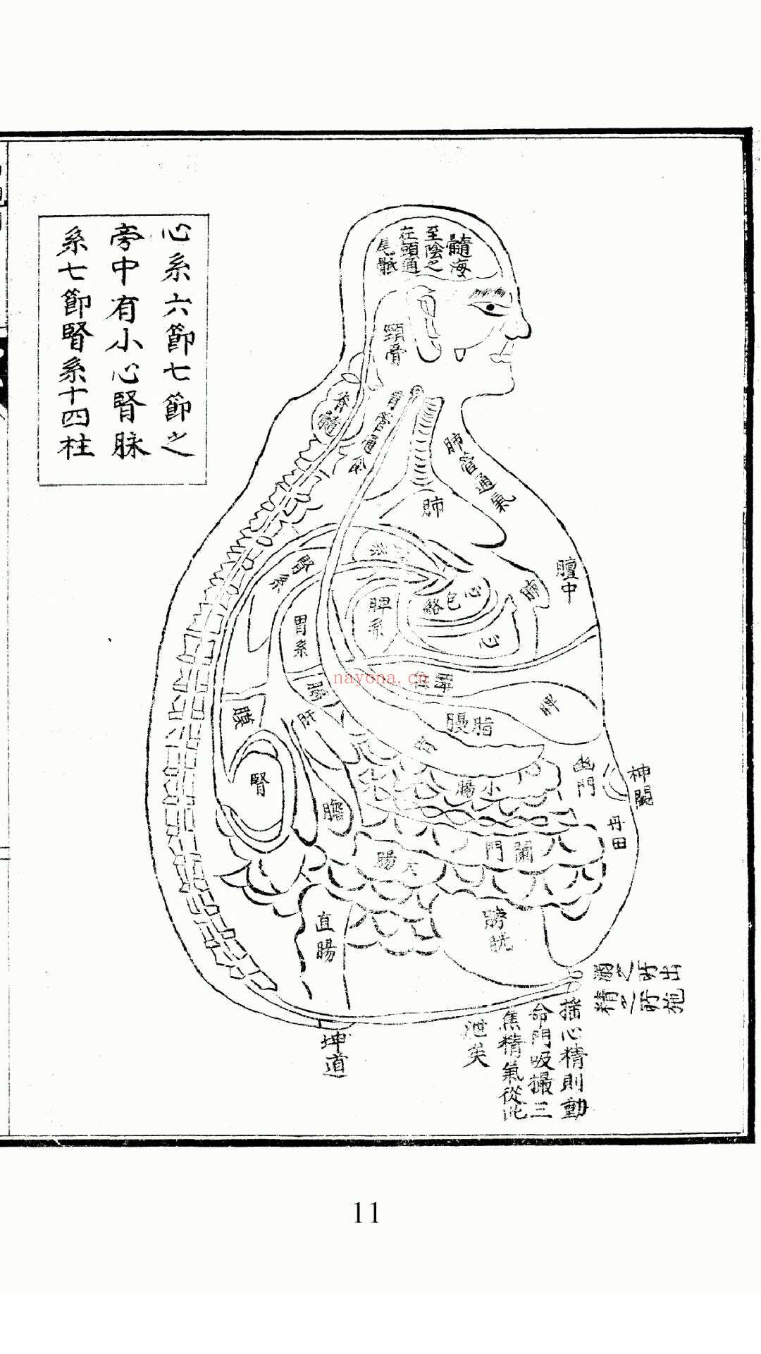 针灸要诀 (针灸要诀与按摩十法pdf下载)