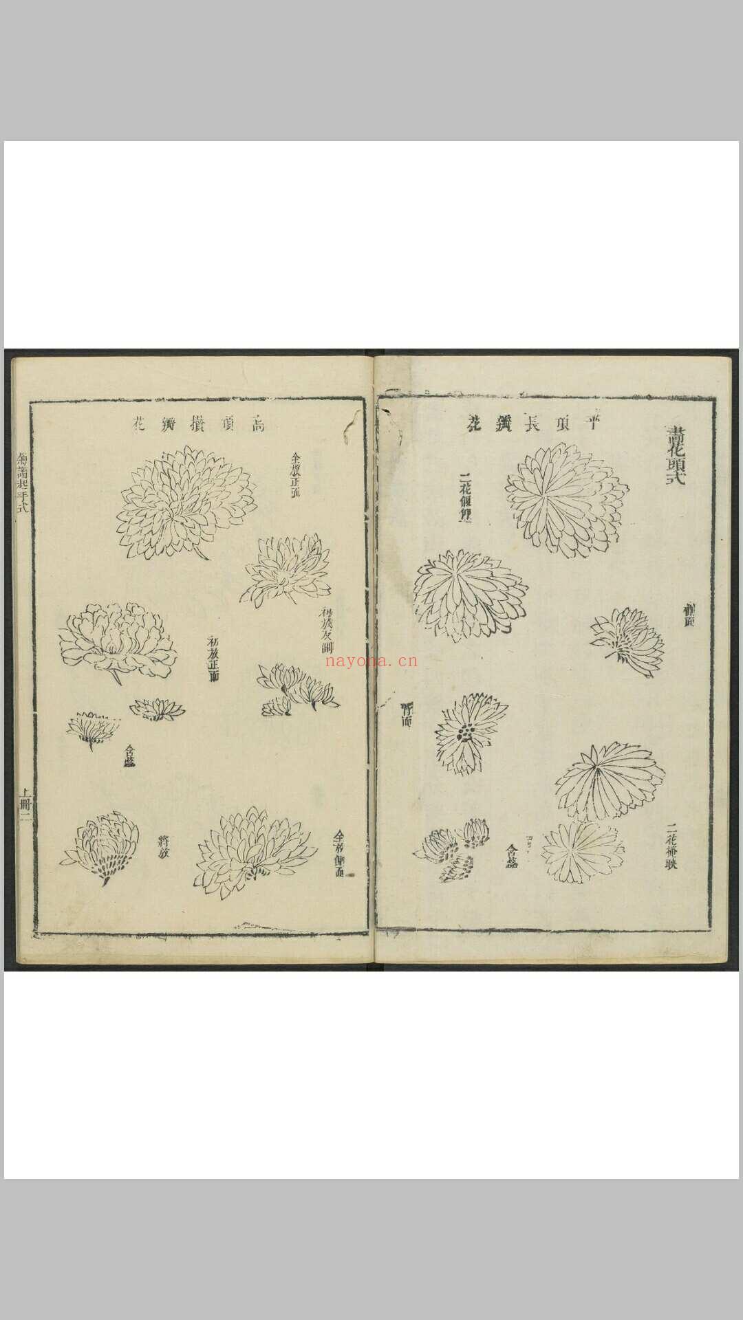 芥子园画传 初至四集, 附图章会纂一卷 王槩等辑摹  李渔辑 金陵芥子园焕记重刊套印本, 清嘉庆22年