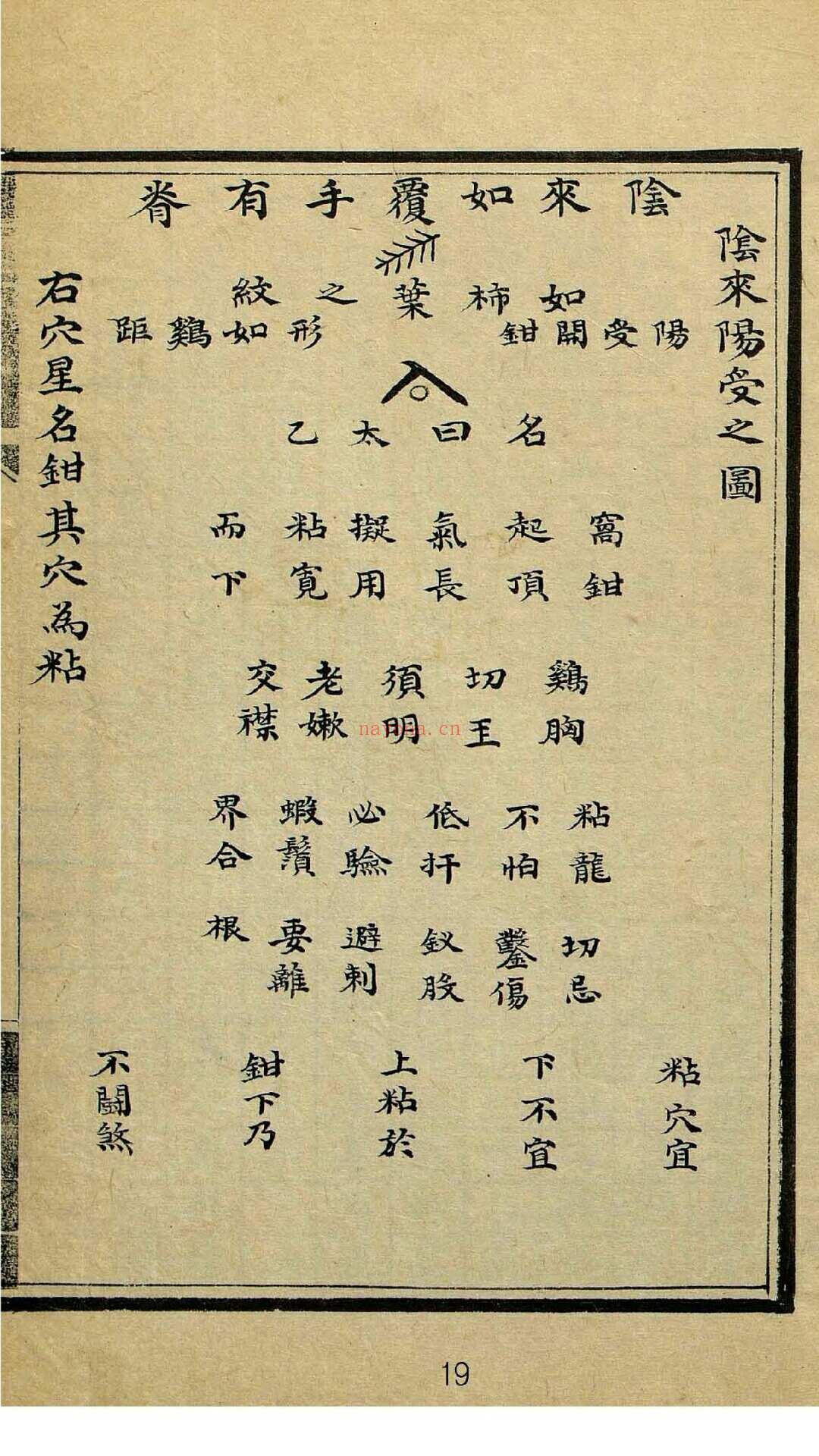 穴法分受（风水）