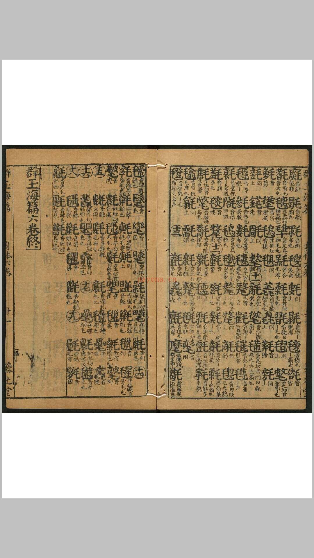 新刻洪武元韵勘正切字海篇群玉 二十卷, 大藏直音  三卷.书林刘钦恩藜光堂, 明崇祯间