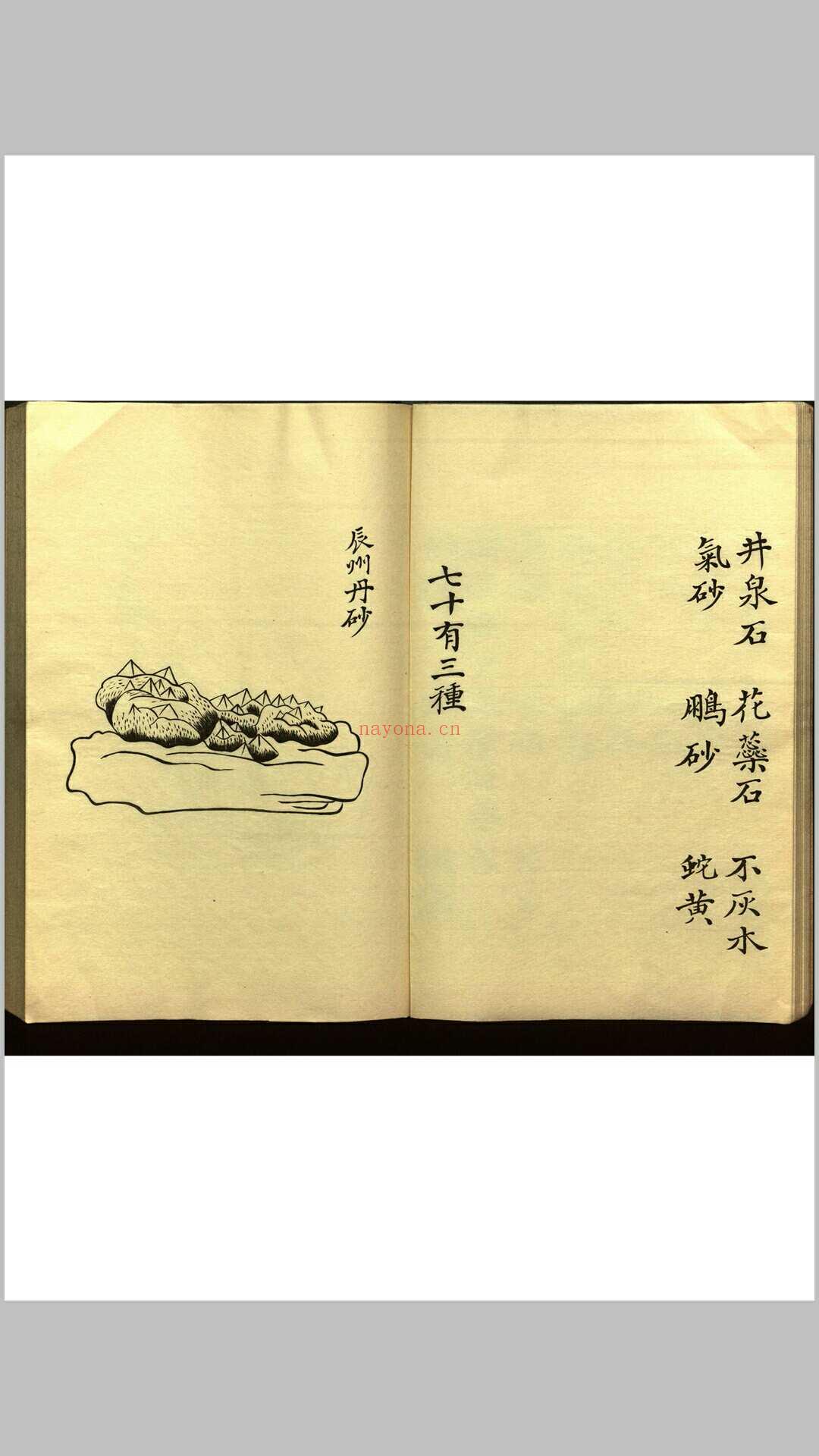 绍兴校定经史证类备急本草画(据卷二至五目录题) 五卷 (宋) 高绍功 等校定 (绍兴校定经史证类备急本草)