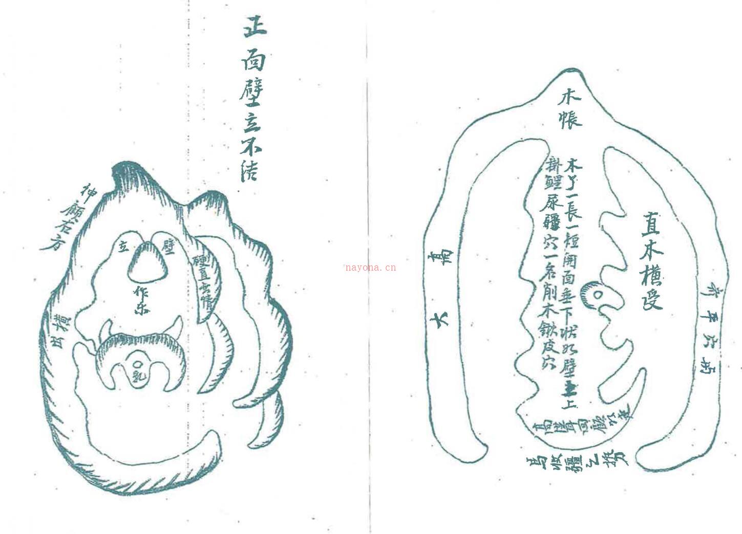 严可珍《望气寻真决》97页双面版百度网盘资源