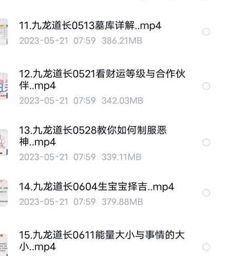易朴国学九龙道长进阶课视频20集百度网盘资源(易朴国学九龙道长和朱昱)
