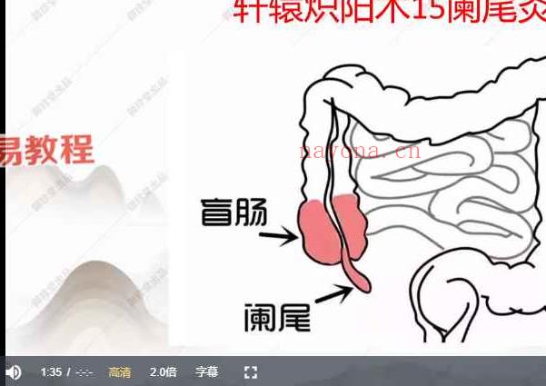 轩辕炽阳术课程视频15集 百度云下载！(轩辕炽阳术调理范围)