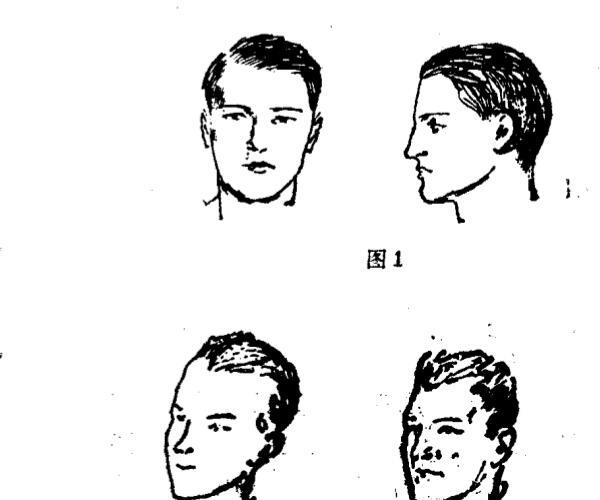 从面相判断性格.pdf百度网盘资源(剑眉男人面相性格)