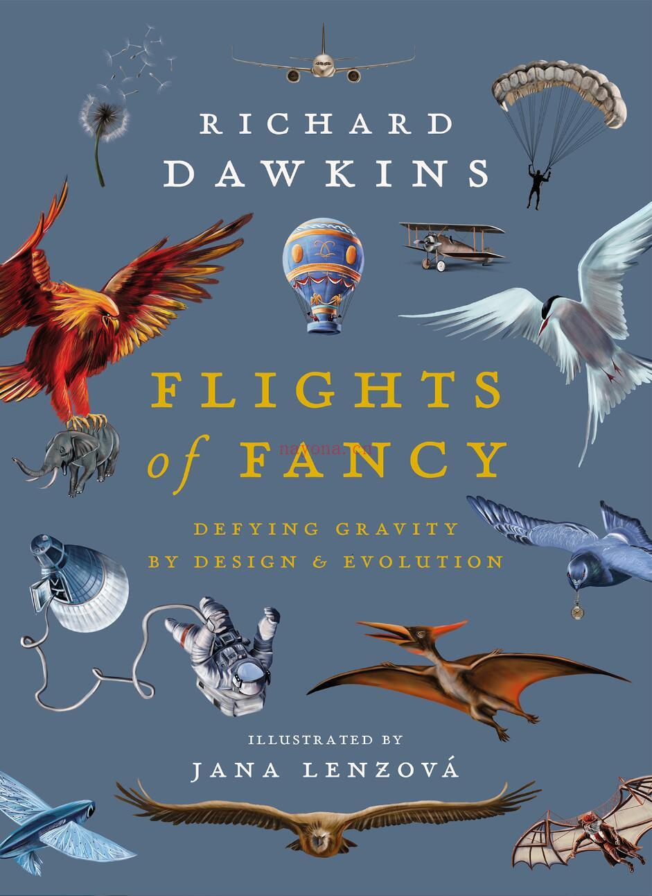 《Flights of Fancy - Defying Gravity by Design and Evolution》