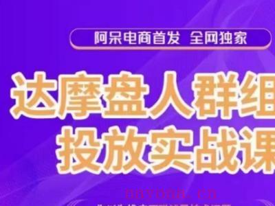 阿呆电商·达摩盘人群组合投放实战课，你以为推广不赚钱是技术问题，其实是你没有选好高价值消费客群