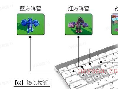 （5530期）抖音森林派对直播项目，可虚拟人直播 抖音报白 实时互动直播【软件+教程】