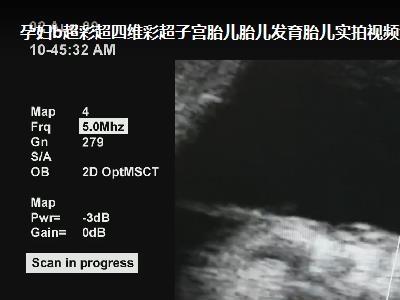 （4694期）最新抖音快手蓝海无人直播胎教助眠玩法，轻松引爆直播间【教程+软件+素材】