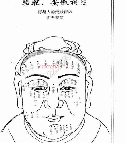 骆驼相法PDF电子书三册百度网盘资源(骆驼相法秘笈pdf)