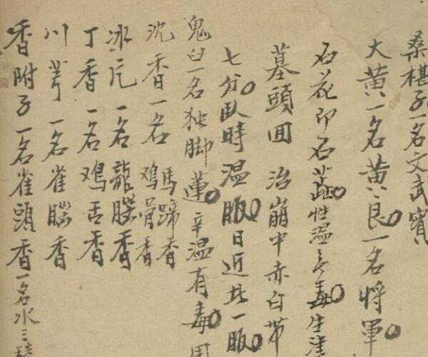 纪云 药及方杂抄 1900.pdf 百度网盘资源