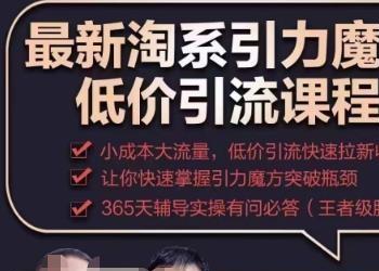 最新淘系引力魔方低价引流课程，小成本大流量，低价引流快速拉新收割