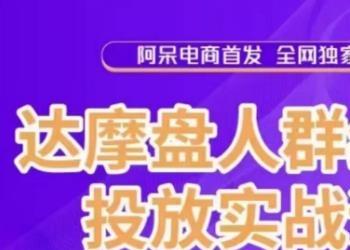 阿呆电商·达摩盘人群组合投放实战课，你以为推广不赚钱是技术问题，其实是你没有选好高价值消费客群