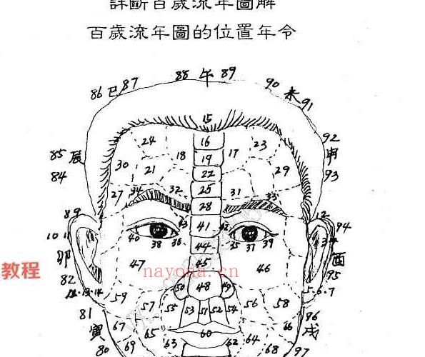 范炳檀赵文国合着 骆驼相法PDF 电子书三册 百度云下载！