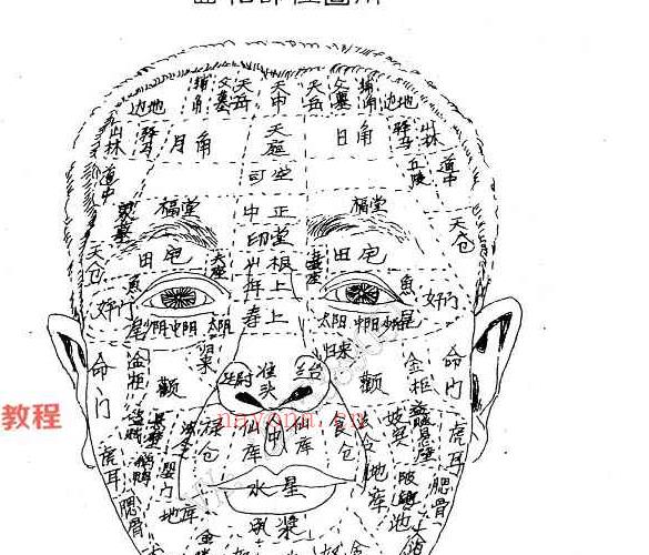 范炳檀赵文国合着 骆驼相法PDF 电子书三册 百度云下载！