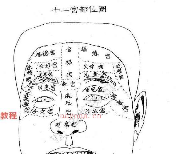 范炳檀赵文国合着 骆驼相法PDF 电子书三册 百度云下载！