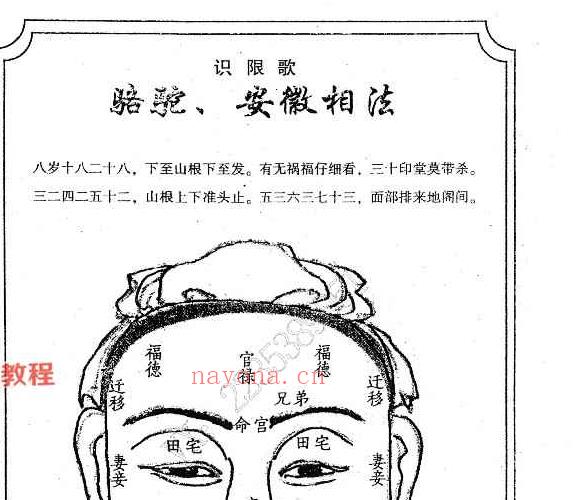 范炳檀赵文国合着 骆驼相法PDF 电子书三册 百度云下载！