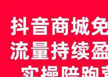 抖音商城搜索持续盈利陪跑成长营，抖音商城搜索从0-1、从1到10的全面解决方案