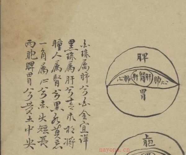 王子固 眼科百问 , 1903.pdf 百度网盘资源