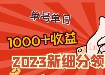 2023新细分领域带货计划：单号单日1000+收益不难，每人可操作3-5个账号