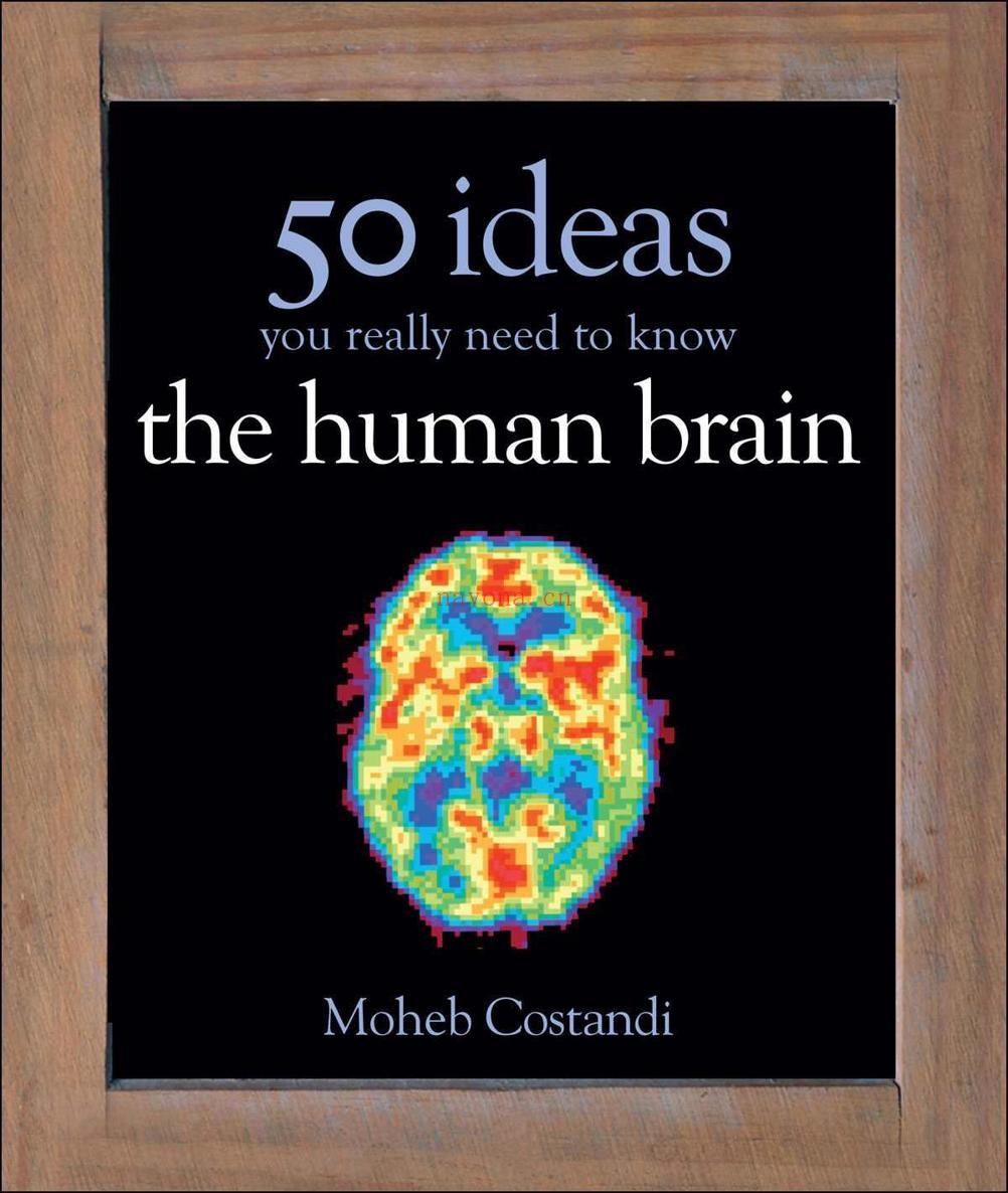 50 Human Brain ldeas You Really Need to Know