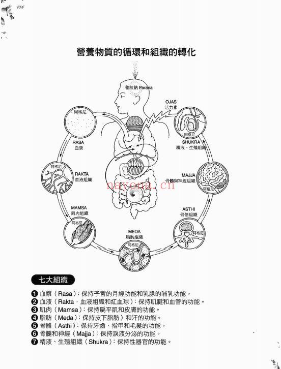 阿育吠陀原理：自我修复的科学