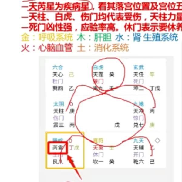 白云道奇门遁甲终身局网络实修班 视频+文档(度寒道长奇门遁甲)