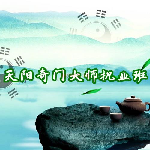 天阳奇门大师执业班