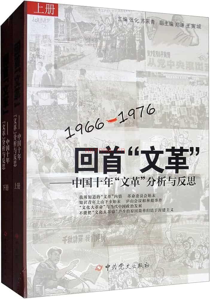 《回首“文革”：中国十年“文革”分析与反思》