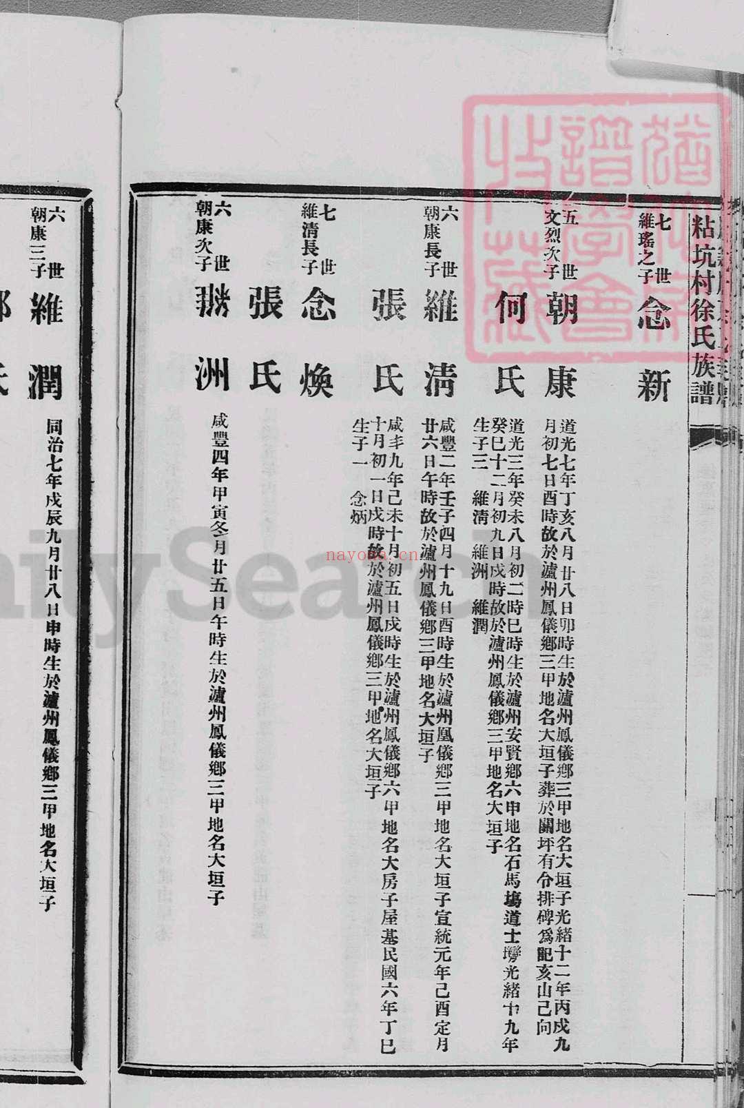 广东省 南雄府保昌县沙水村珠玑巷(原籍香山县隆都大岚乡) 广东省李族家谱(李求恩牧师家谱)