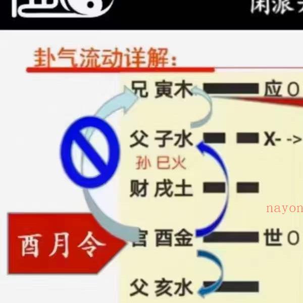 闲派六爻基础课加高级课160集(子和先生六爻基础课)