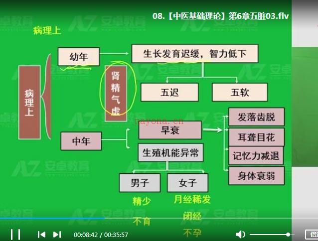 中医师承确有专长(134集)2020(中医师承确有专长题库)