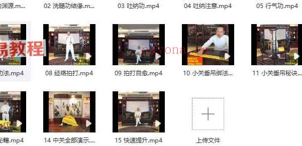 荣卫堂无极《易筋洗髄功高级功法》视频15集 百度云下载！
