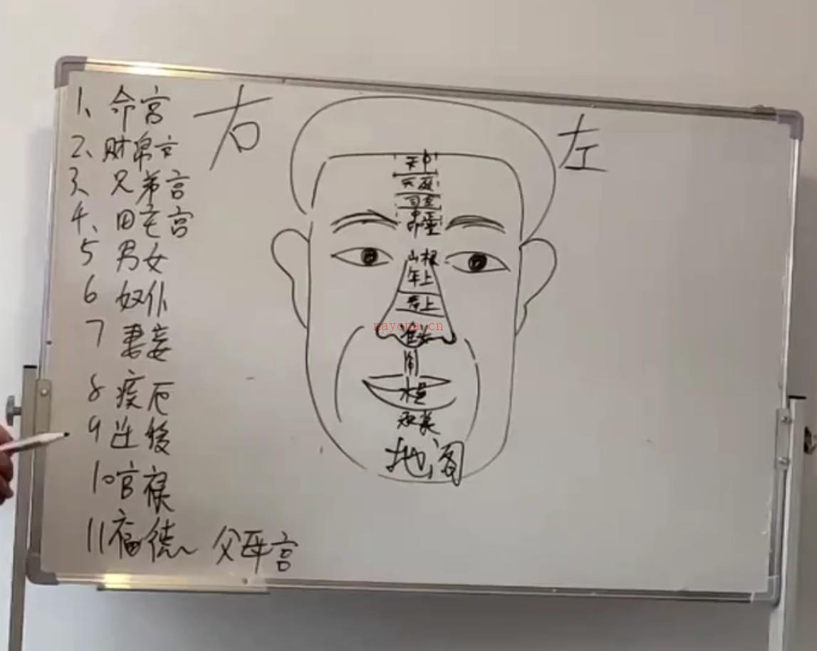 详睿相法24集视频课程 内容插图