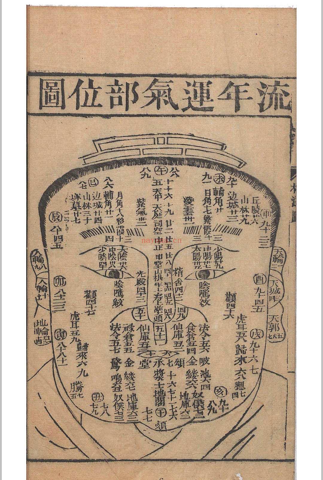 麻衣相法 陆位崇(清) 编校 校经山房, 光绪13年［1887］