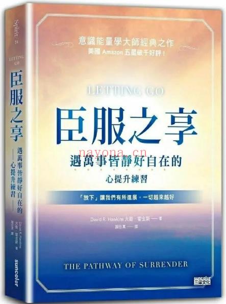 《臣服之享：遇万事皆静好自在的心提升练习》放下让我们有所进展，一切越来越好  PDF电子书下载百度网盘